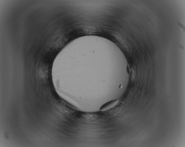 X0000091360221200709071311