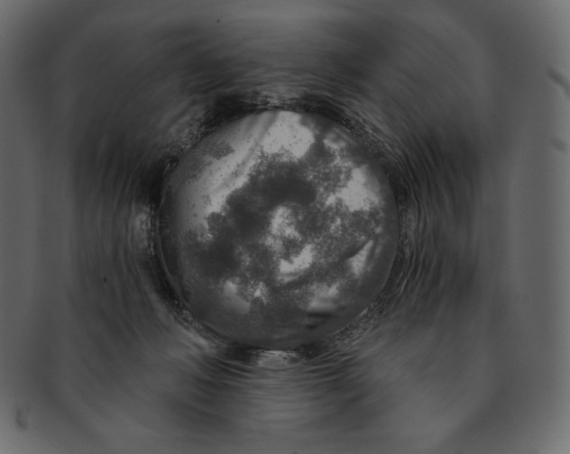 X0000091360222200709071311