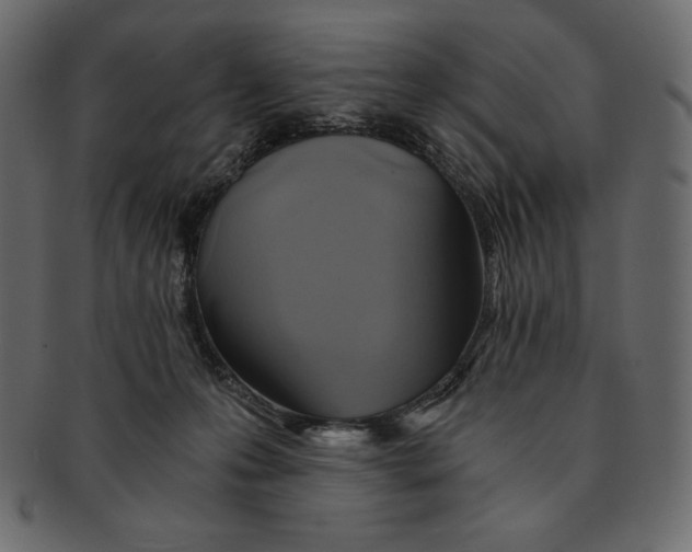 X0000091360223200709071311