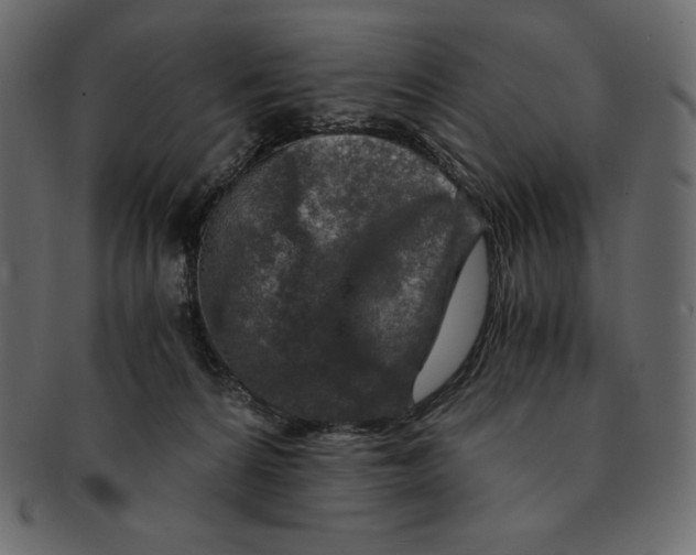 X0000091360224200709071311