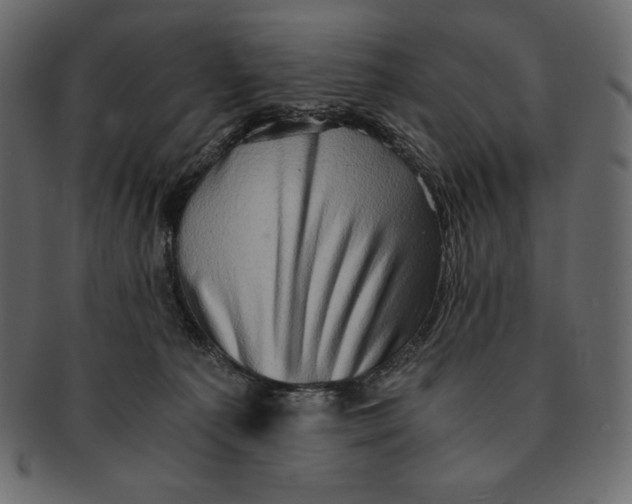 X0000091360225200709071311