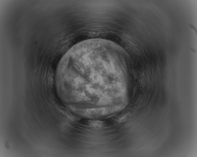 X0000091360226200709071311