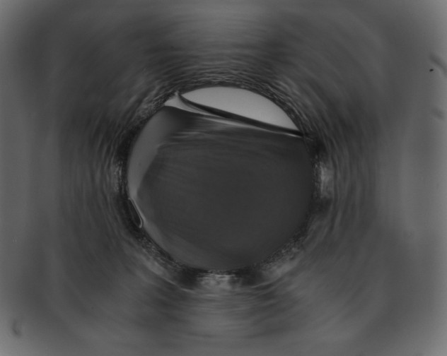 X0000091360227200709071311