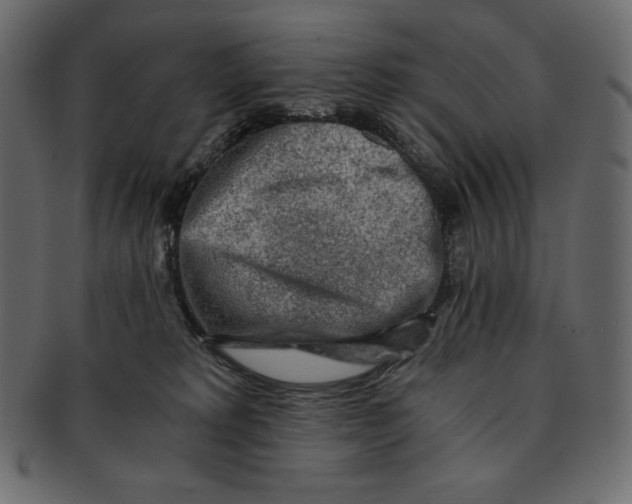 X0000091360229200709071311