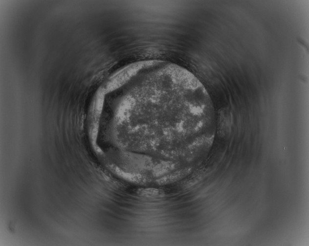 X0000091360230200709071311