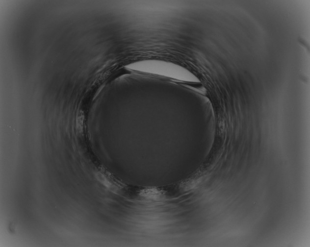 X0000091360231200709071311