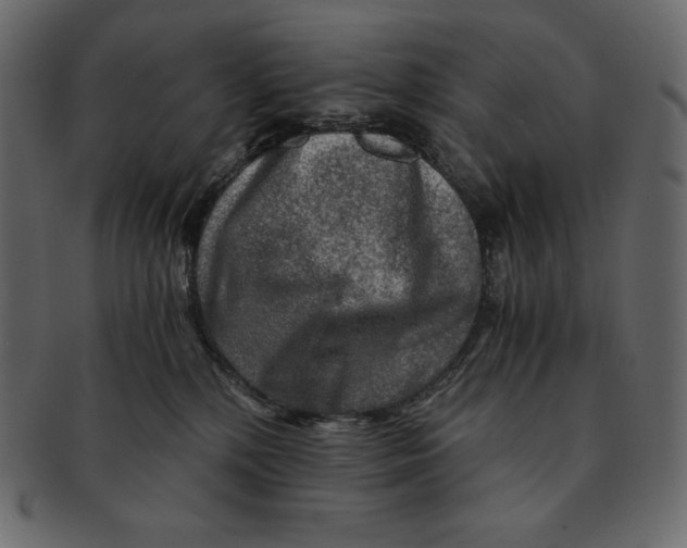 X0000091360232200709071311