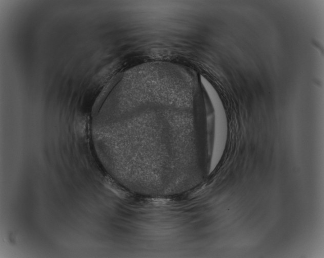 X0000091360233200709071310