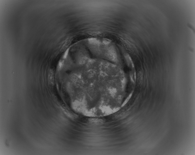 X0000091360234200709071310