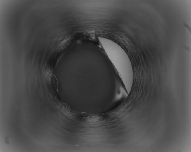 X0000091360235200709071310