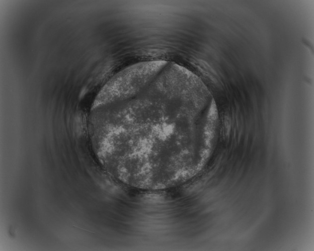 X0000091360236200709071310