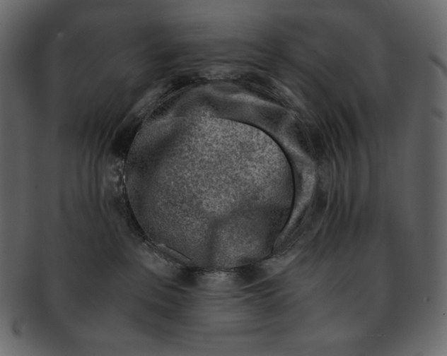 X0000091360237200709071310