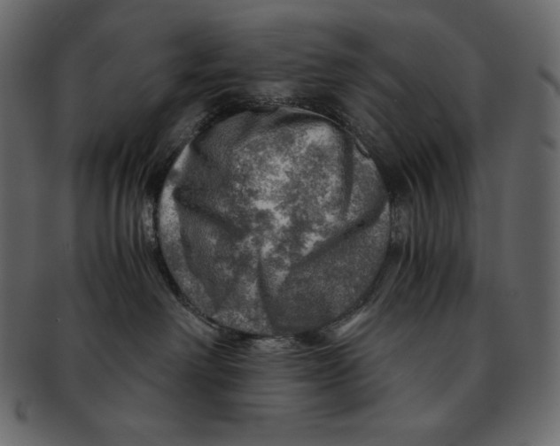 X0000091360238200709071310