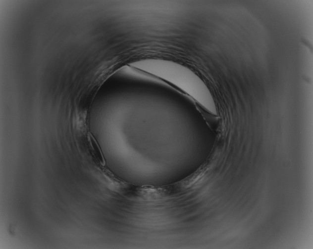 X0000091360239200709071310