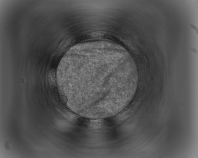 X0000091360240200709071310