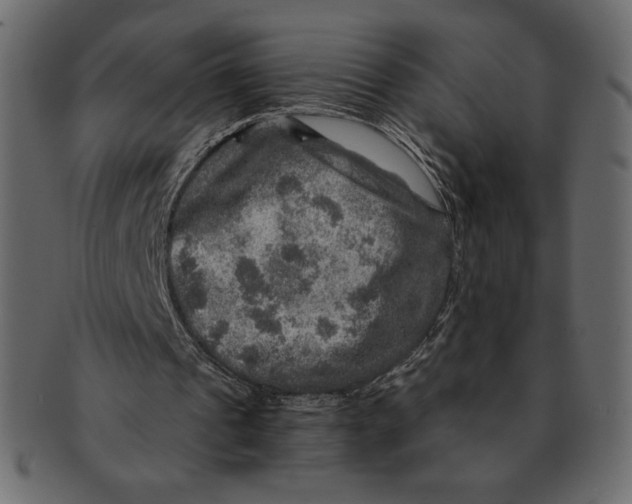 X0000091360241200709071310