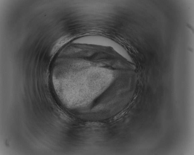 X0000091360242200709071310