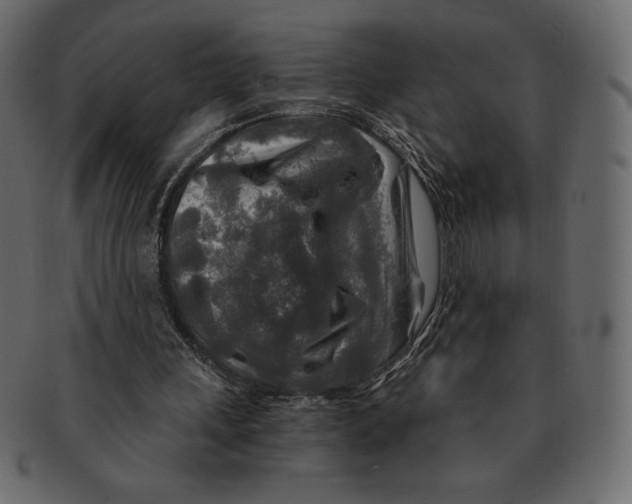 X0000091360243200709071310