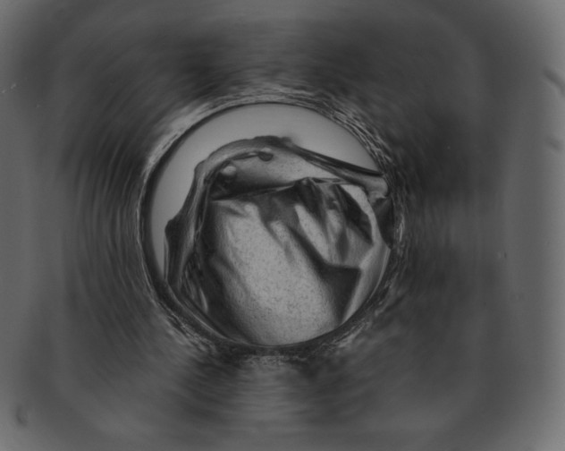 X0000091360244200709071310