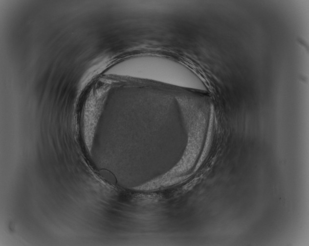 X0000091360245200709071310