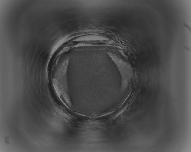 X0000091360246200709071310