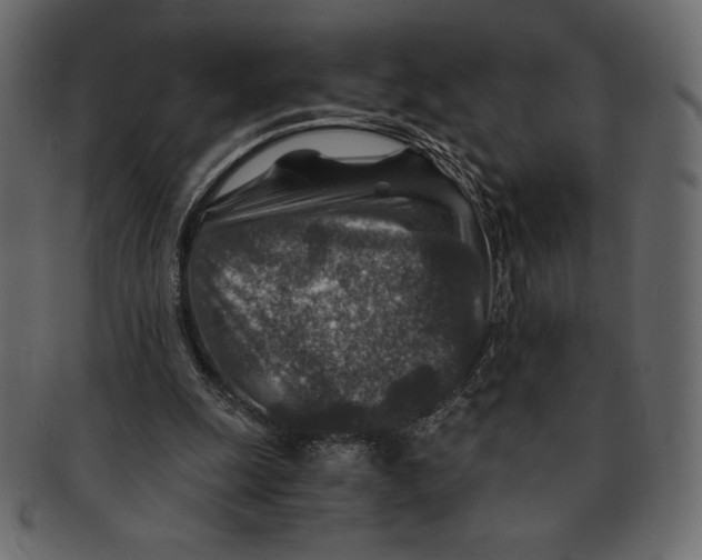 X0000091360247200709071310