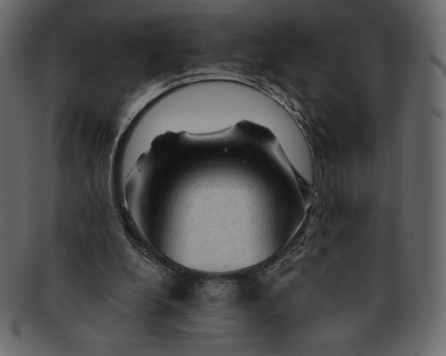 X0000091360248200709071310