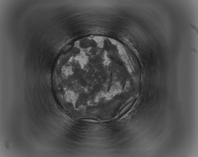 X0000091360249200709071310