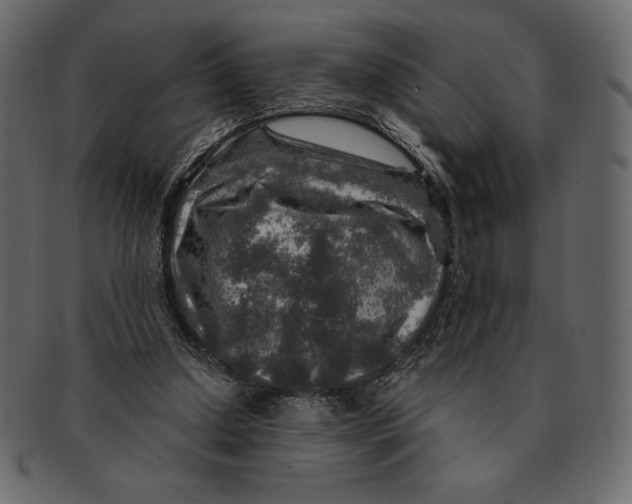 X0000091360250200709071310