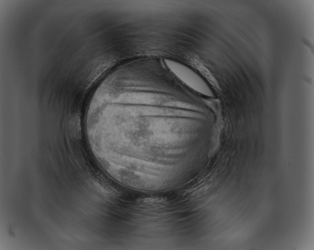 X0000091360251200709071310