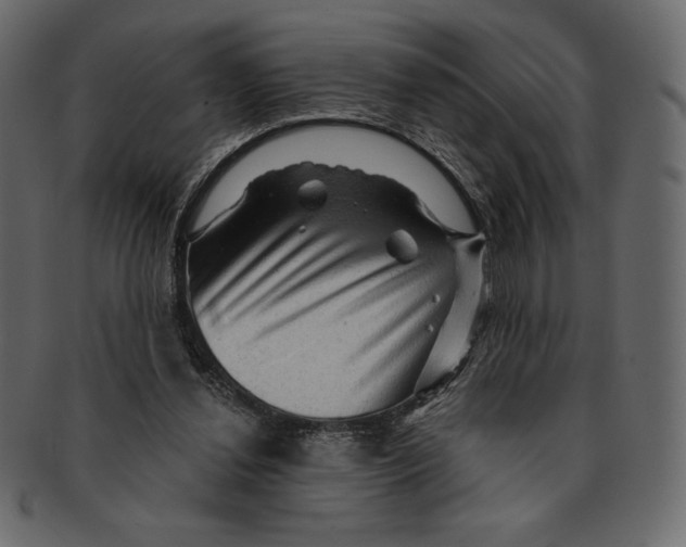 X0000091360252200709071310