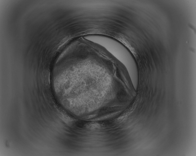 X0000091360253200709071310