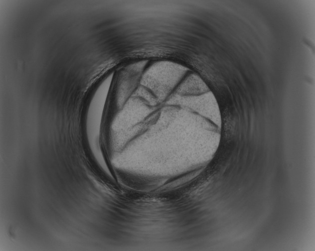 X0000091360254200709071310