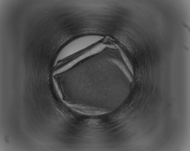 X0000091360255200709071310