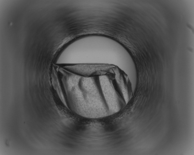 X0000091360256200709071310