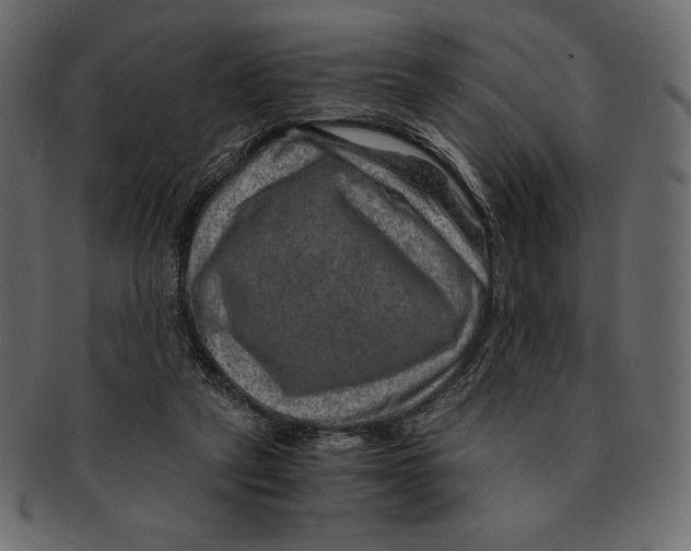 X0000091360257200709071310