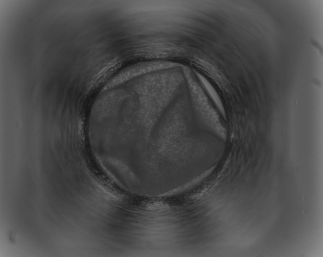 X0000091360258200709071310