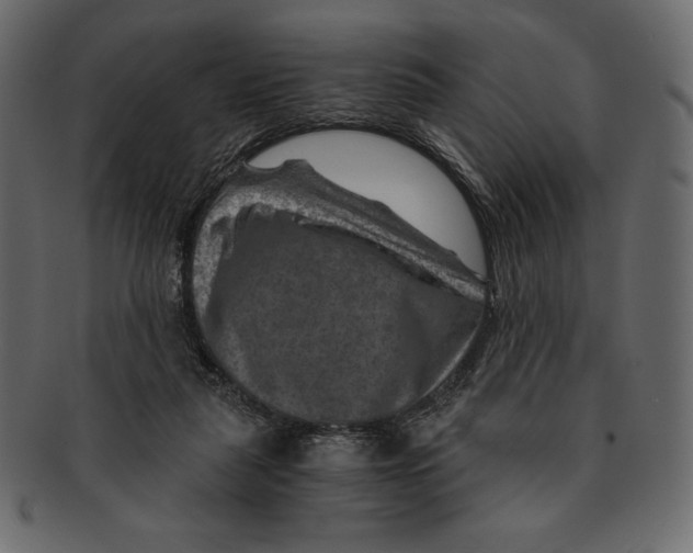 X0000091360259200709071310