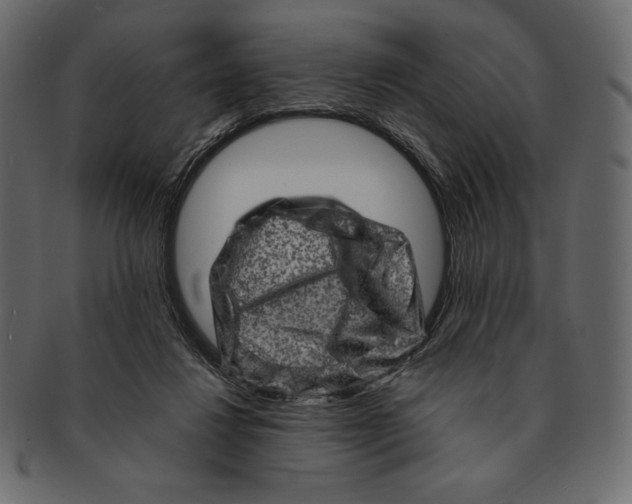 X0000091360260200709071310