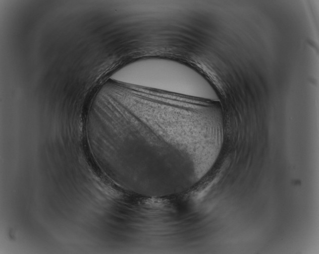 X0000091360261200709071310