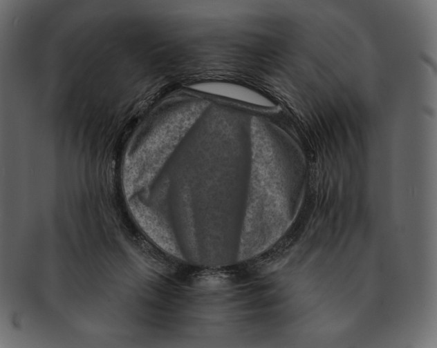 X0000091360263200709071310