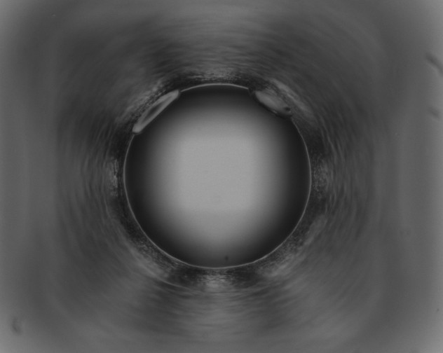 X0000091360264200709071310