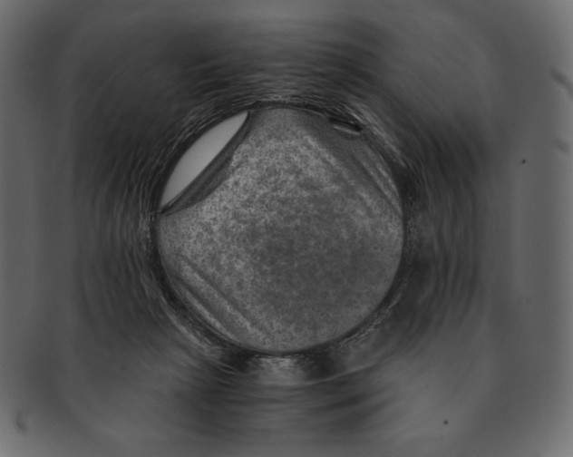 X0000091360265200709071310