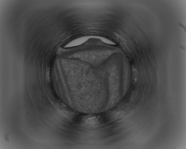 X0000091360267200709071310