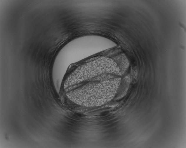 X0000091360268200709071310