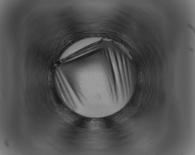 X0000091360270200709071310