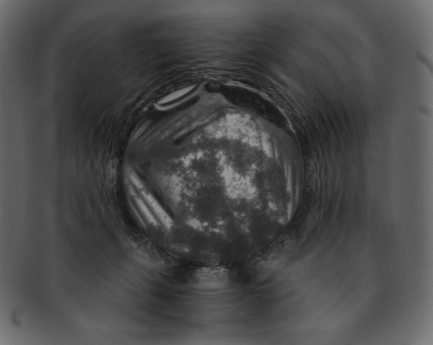 X0000091360271200709071310