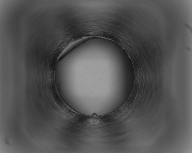 X0000091360272200709071310