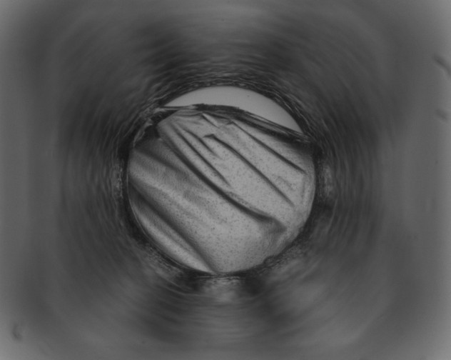 X0000091360274200709071310