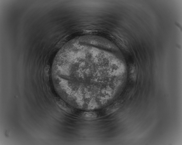 X0000091360275200709071310